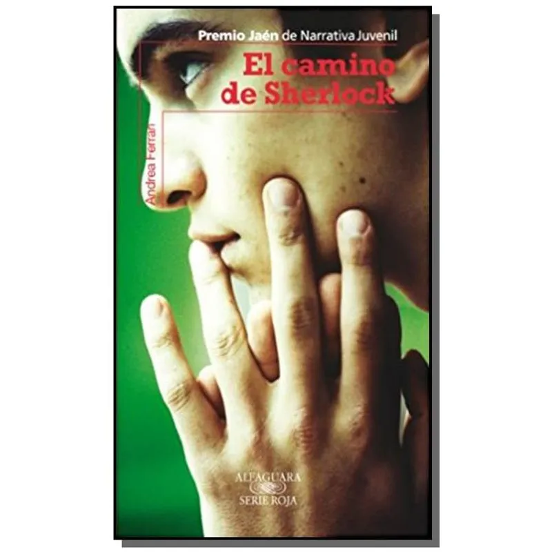 CAMINO DE SHERLOCK