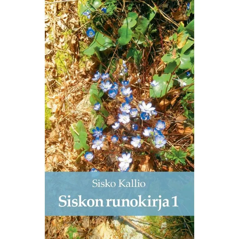 Siskon runokirja I