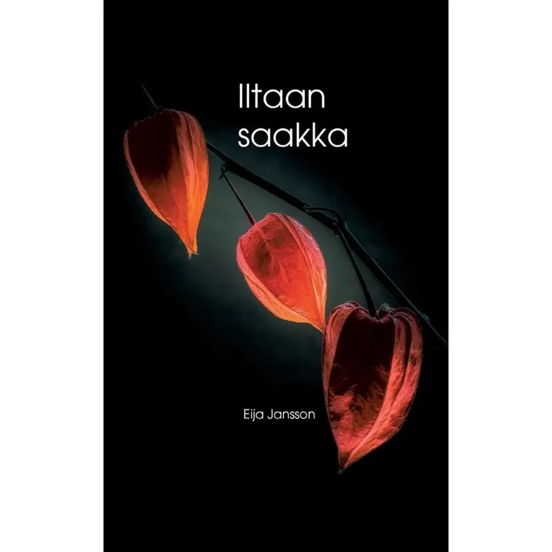 Iltaan saakka