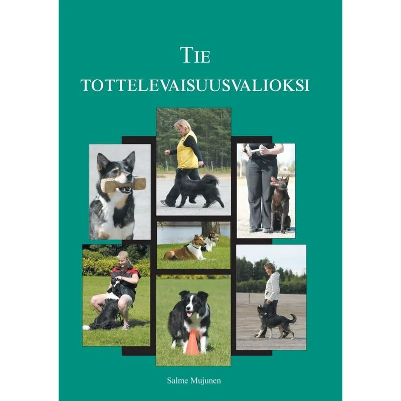 Tie tottelevaisuusvalioksi