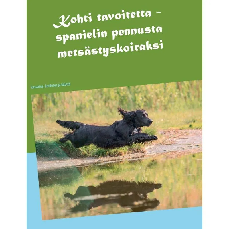 Kohti tavoitetta