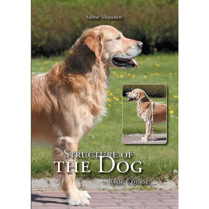 Structure of the Dog