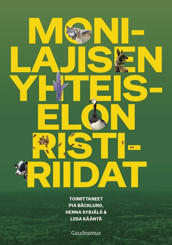 Monilajisen yhteiselon ristiriidat