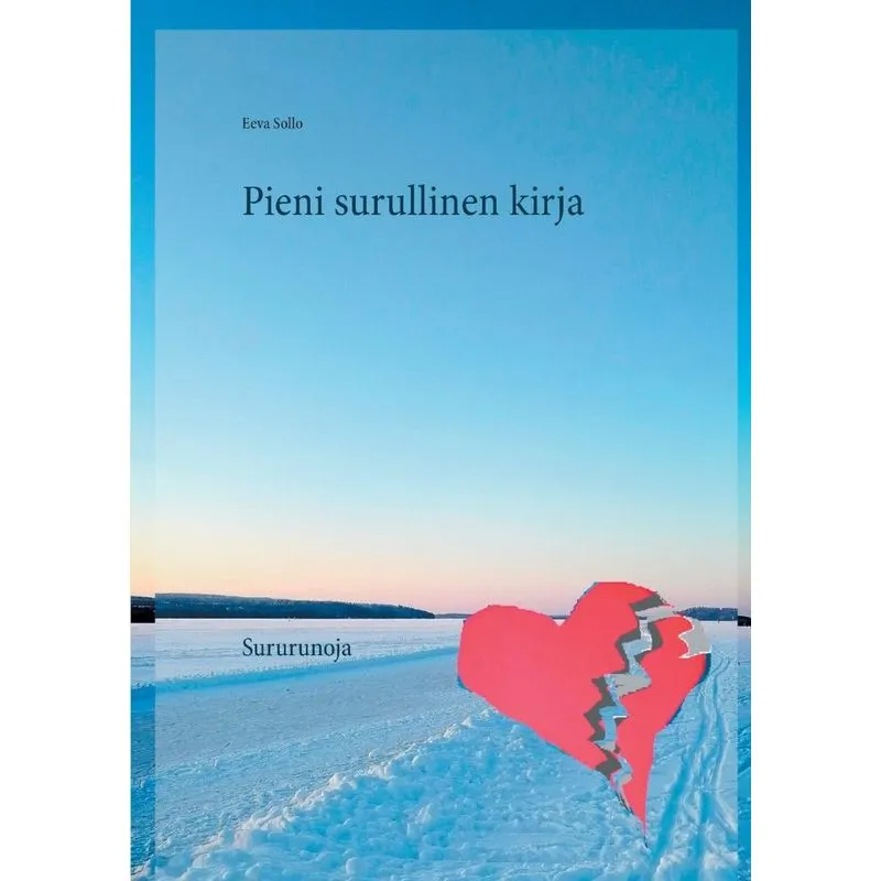 Pieni surullinen kirja