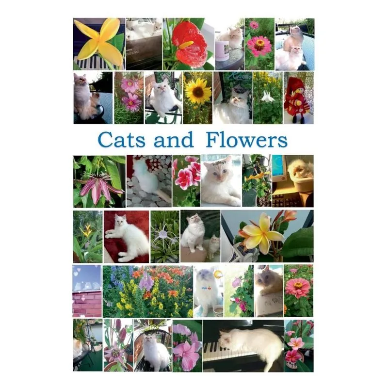 Cats and Flowers