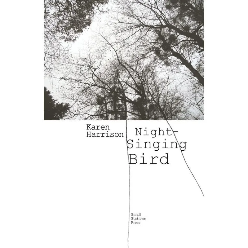 Night-Singing Bird