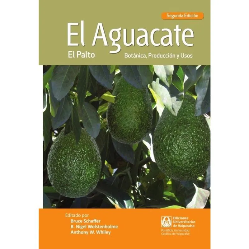 El aguacate -Espanhol