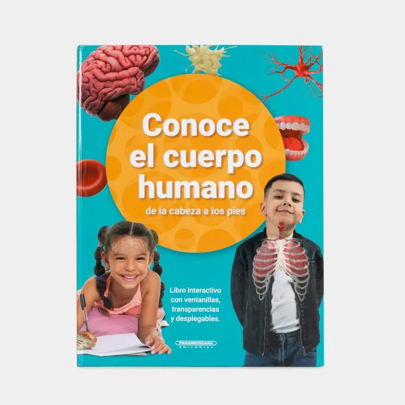 Conoce el cuerpo humano de la cabeza a los pies