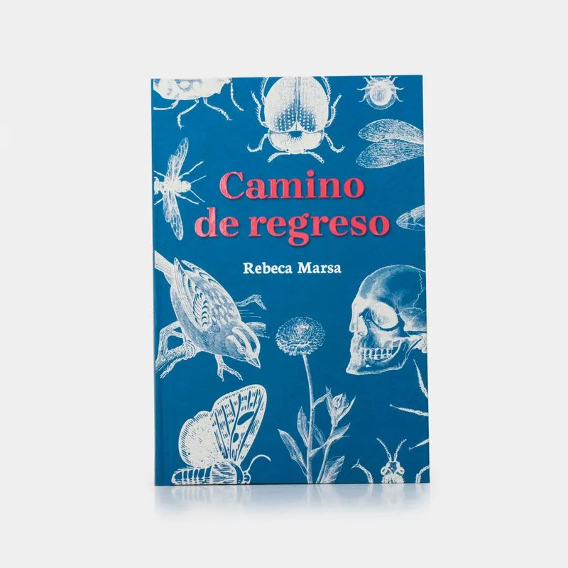 Camino de regreso