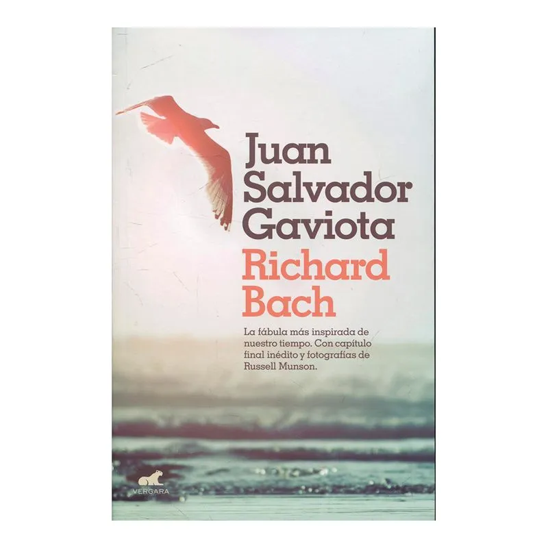 Juan Salvador Gaviota