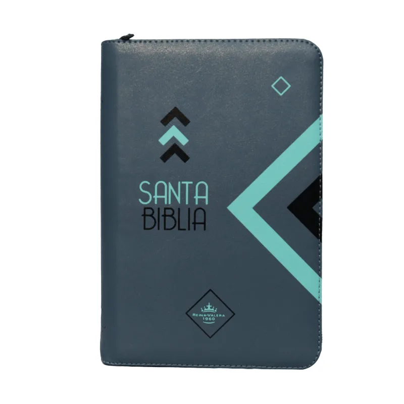 Biblia Reina Valera 1960 en estuche gris/azul