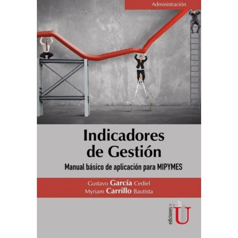 Indicadores De Gestión. Manual Básico De Aplicación Para Mipymes - Espanhol
