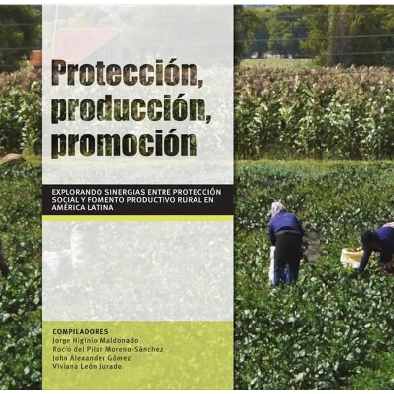 Protección, producción, promoción - Espanhol