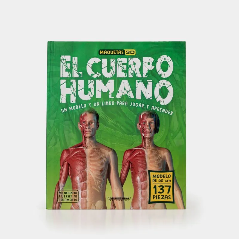 Maquetas 3D - El cuerpo humano