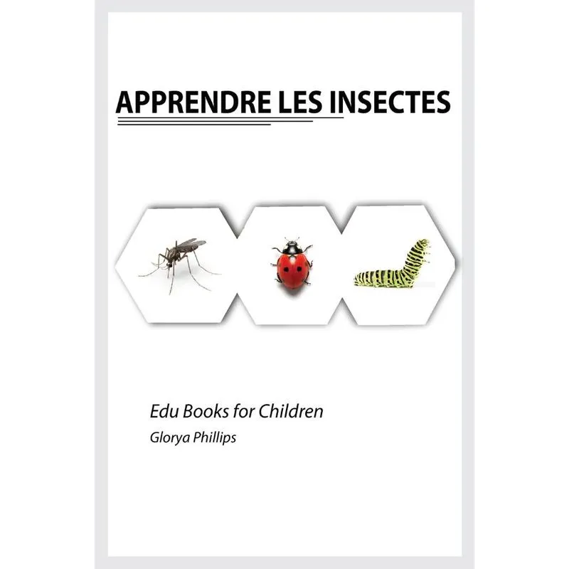 Apprendre Les Insectes