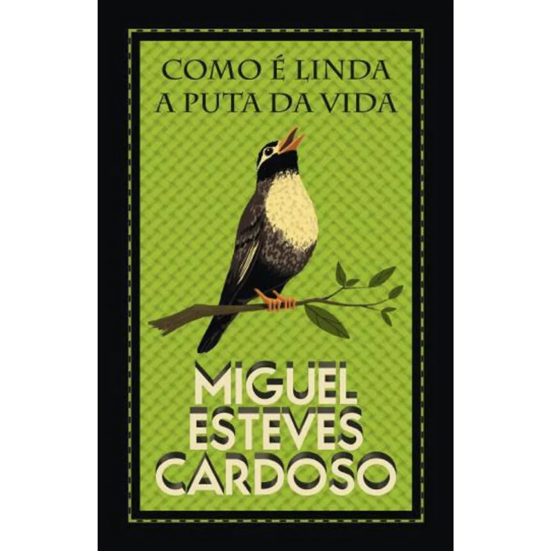 COMO E LINDA A PUTA DA VIDA