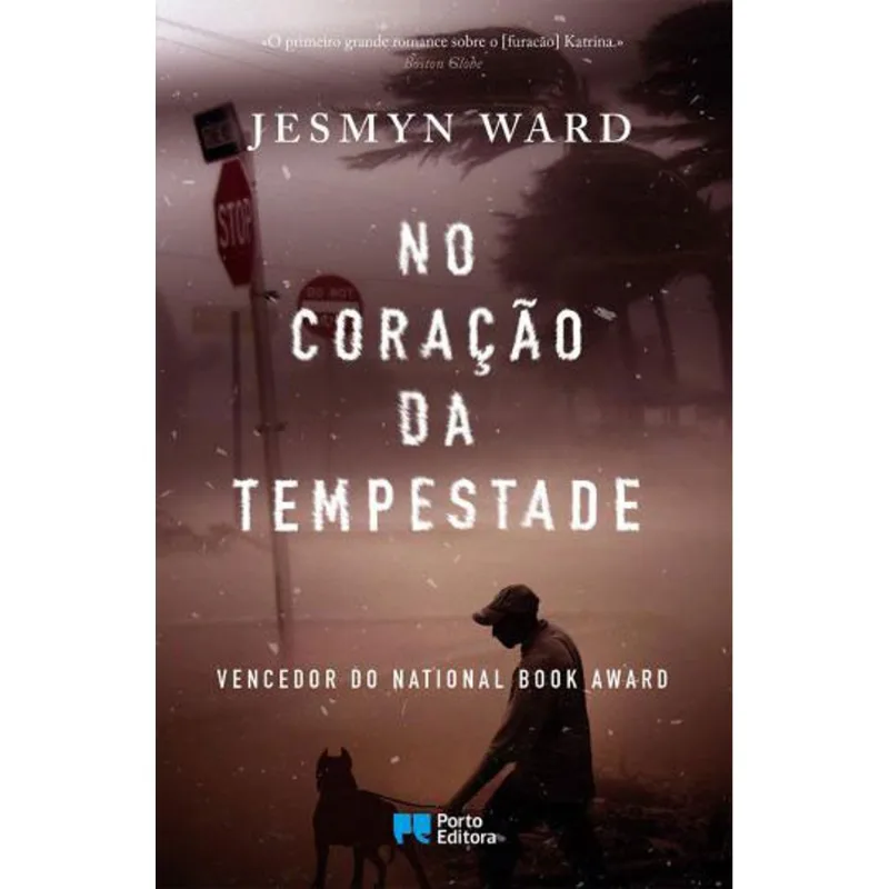 NO CORAÇAO DA TEMPESTADE