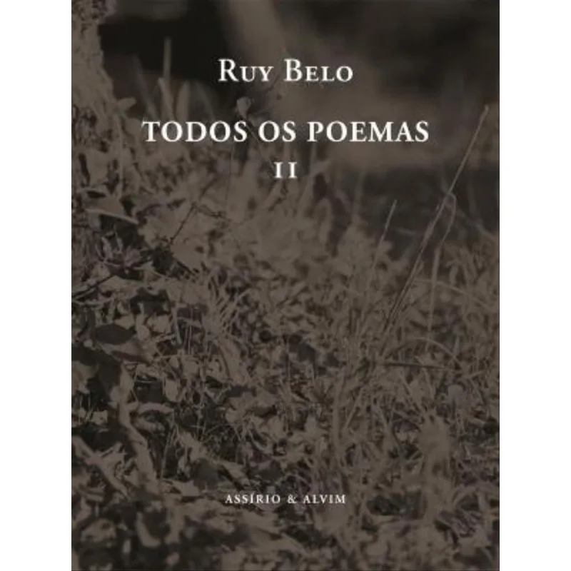 TODOS OS POEMAS - II