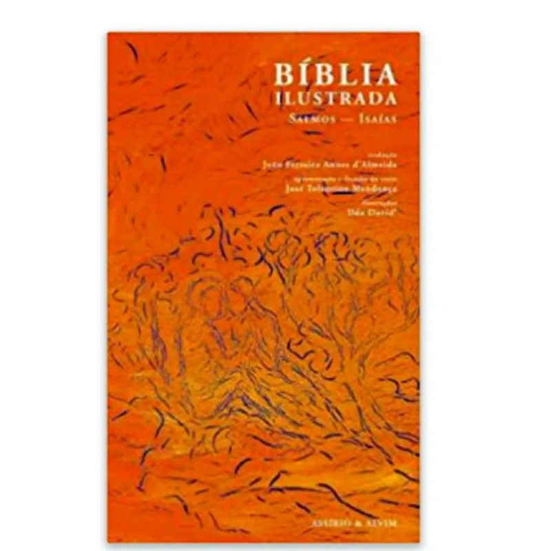 BÍBLIA ILUSTRADA - VOLUMES V E VI