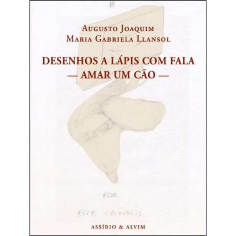 DESENHOS A LÁPIS COM FALA