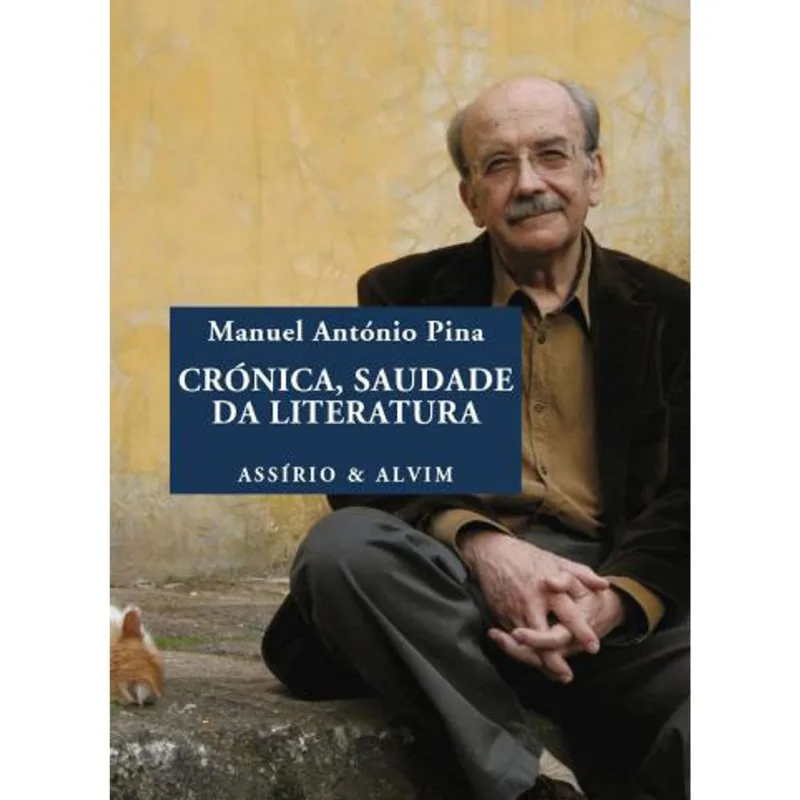 CRONICA, SAUDADE DA LITERATURA