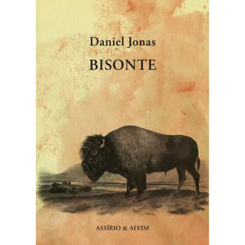 BISONTE