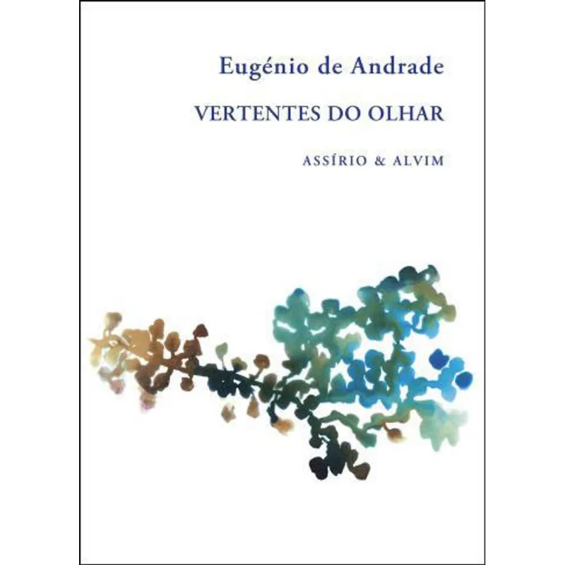 VERTENTES DO OLHAR
