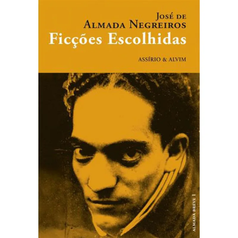FICÇOES ESCOLHIDAS