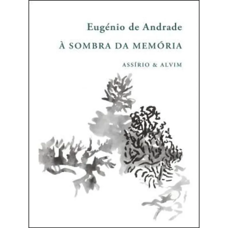A SOMBRA DA MEMÓRIA