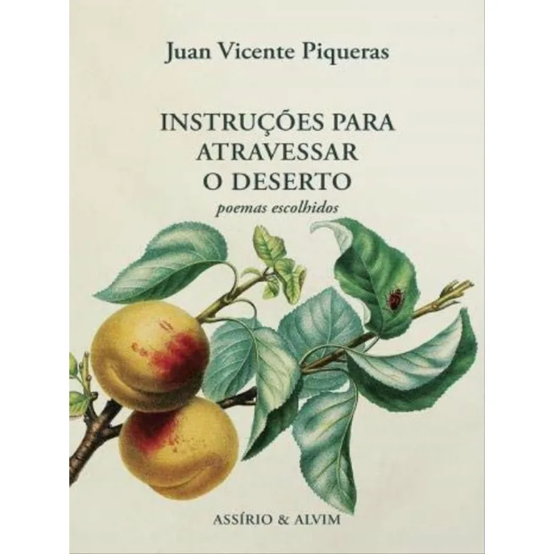 INSTRUÇÕES PARA ATRAVESSAR O DESERTO