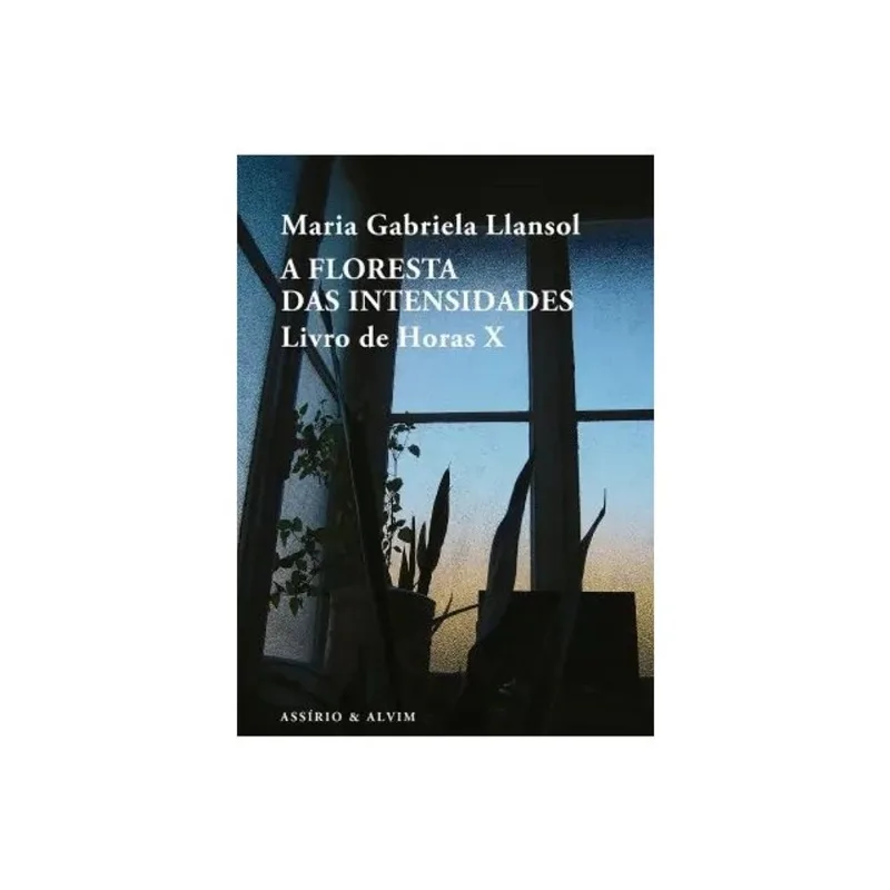 A FLORESTA DAS INTENSIDADES