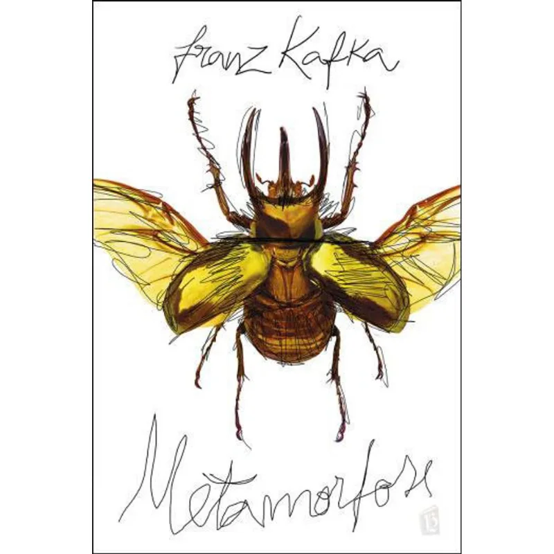 METAMORFOSE