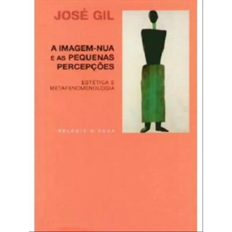 IMAGEM NUA E AS PEQUENAS PERCEPÇOES, A