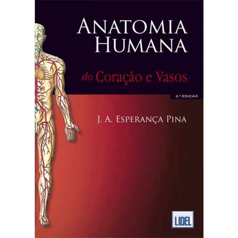 Anatomia Humana do Coração e Vasos