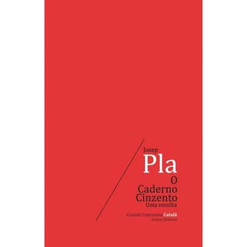 CADERNO CINZENTO, O