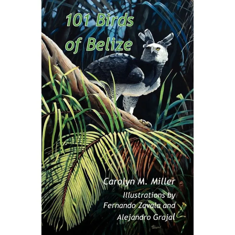 101 Birds of Belize