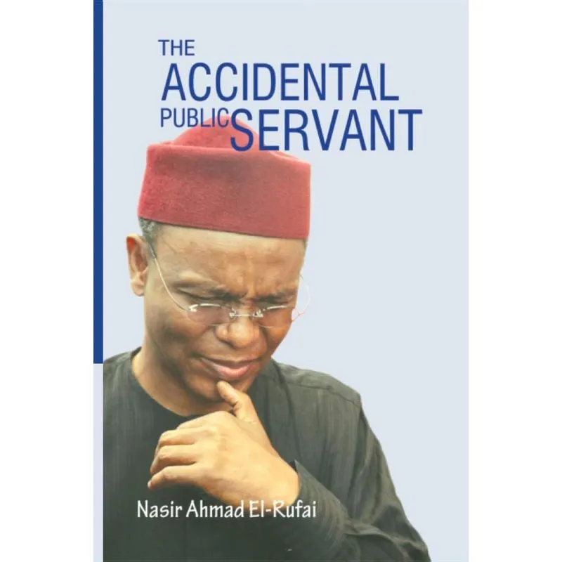 The Accidental Public Servant