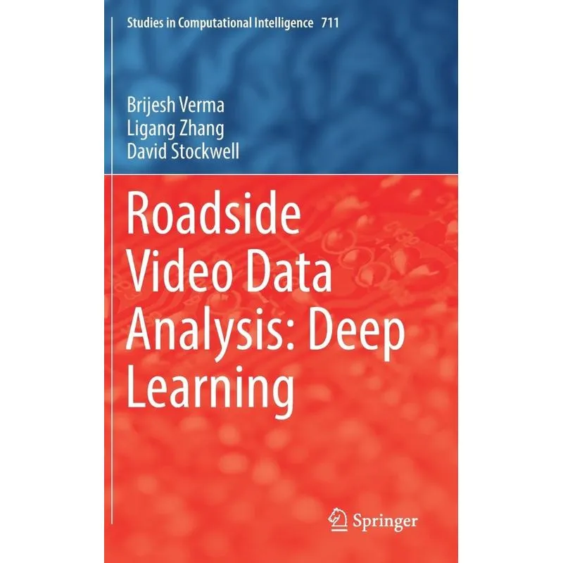 Roadside Video Data Analysis