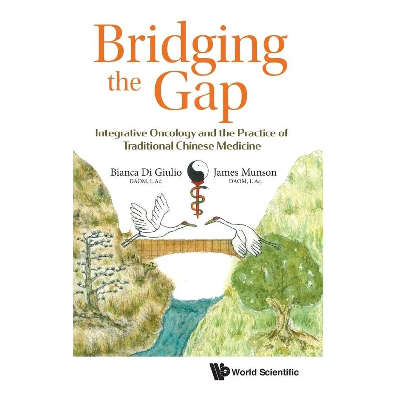 Bridging the Gap