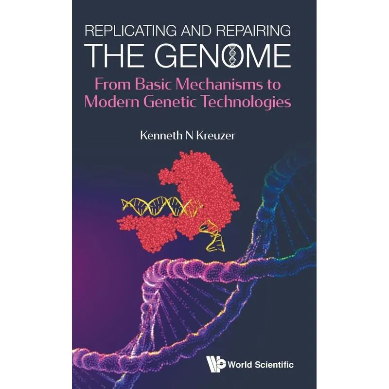 Replicating and Repairing the Genome