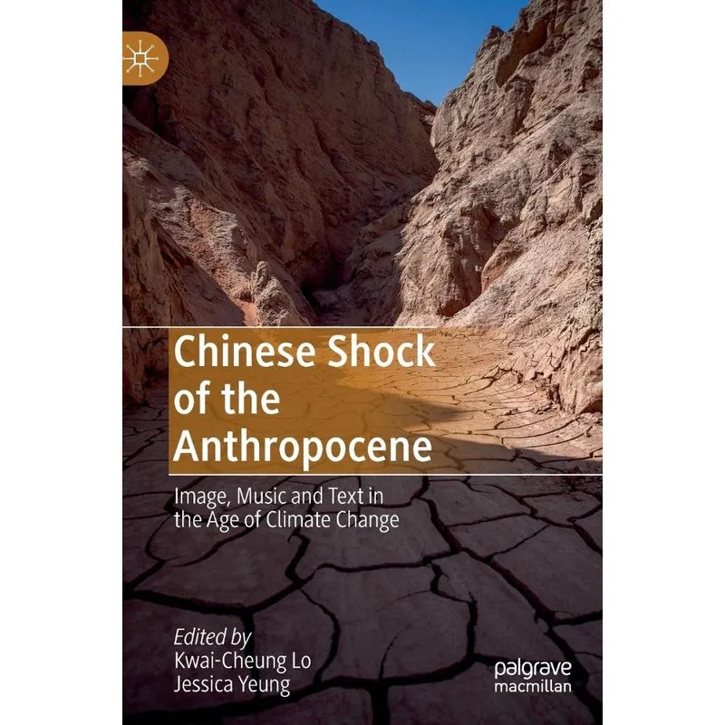 Chinese Shock of the Anthropocene