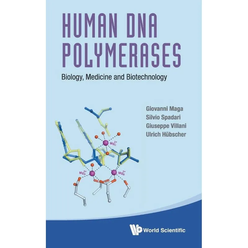 Human Dna Polymerases