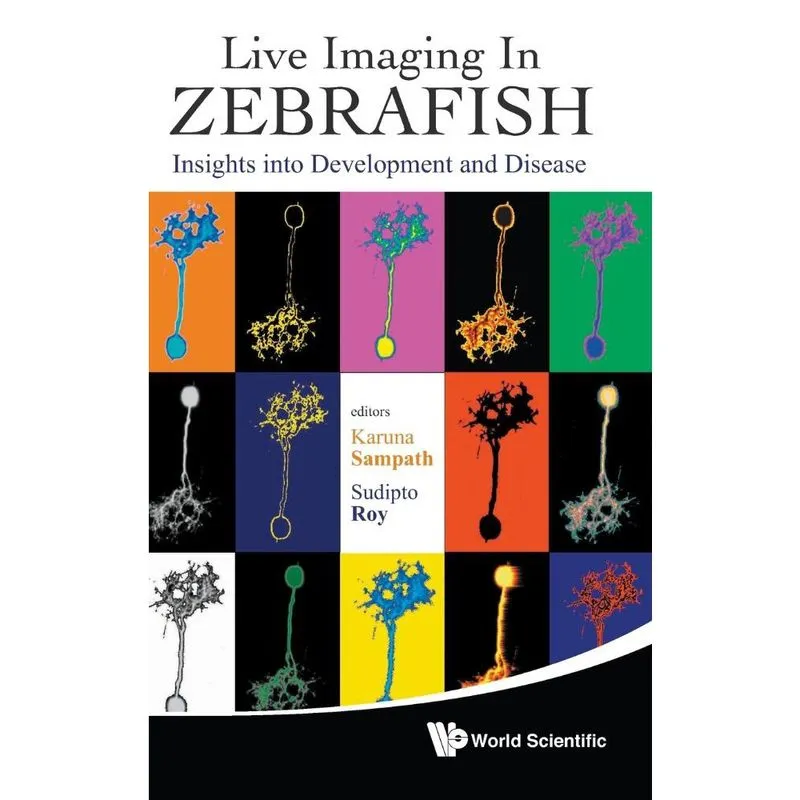 Live Imaging in Zebrafish