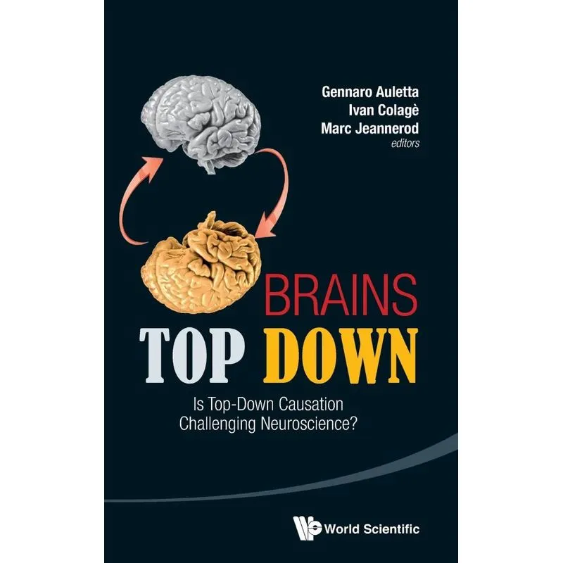 Brains Top Down
