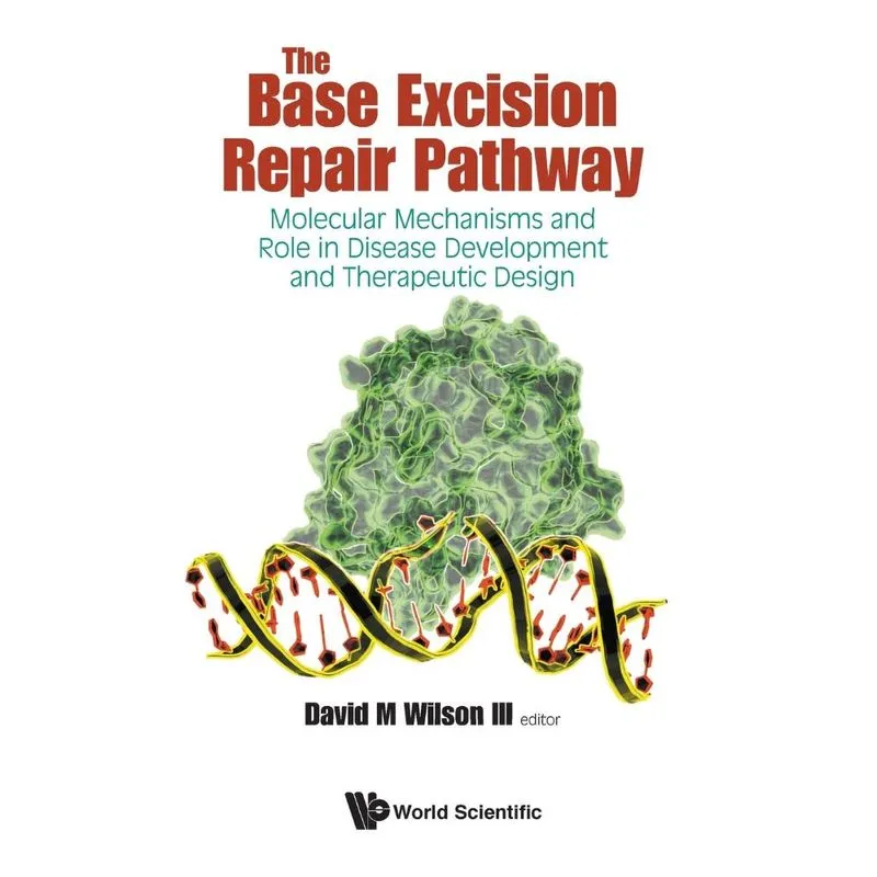 The Base Excision Repair Pathway