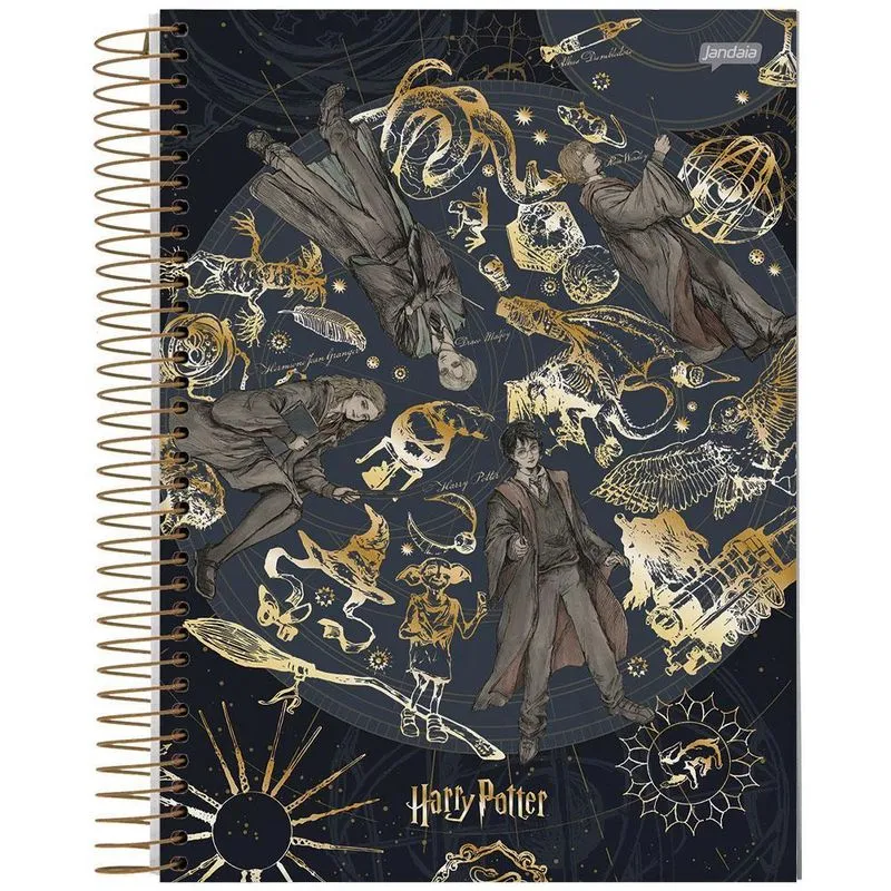 Caderno Univ 15 Matérias 300Fls Harry Potter Ouro Jandaia