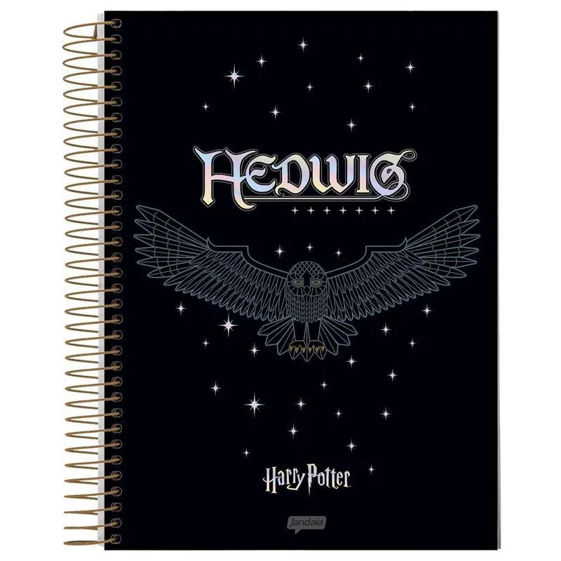 Caderno Univ 1 Matéria 80Fls Harry Potter Premium 2 Jandaia