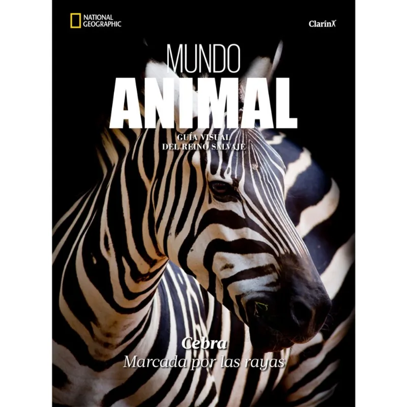 Libro Cebra - Animales Del Mundo Ng