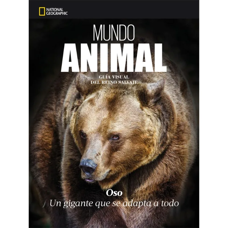 Libro Oso - Animales Del Mundo Ng