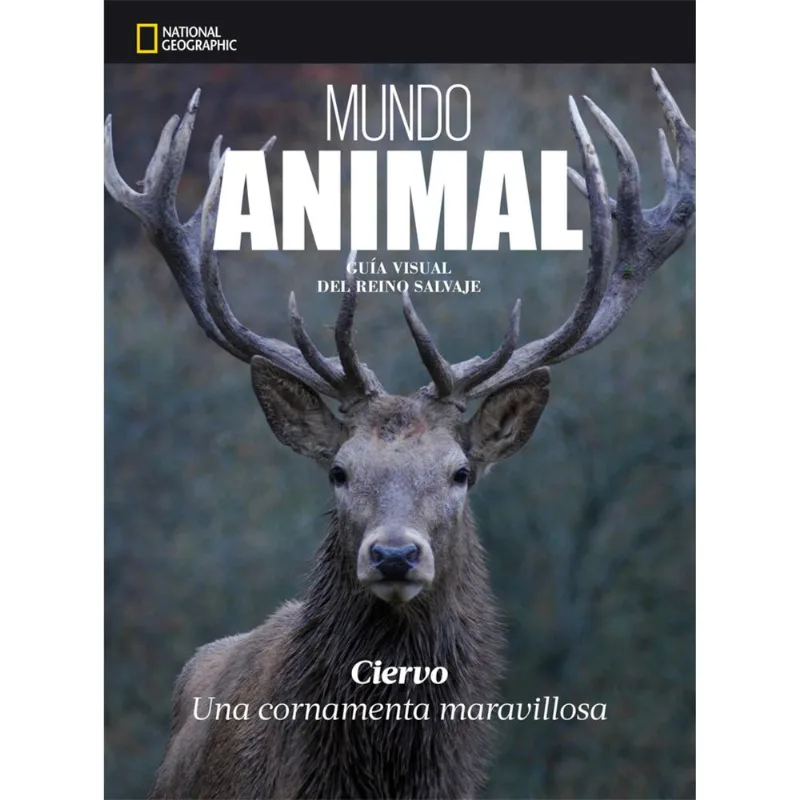Libro Ciervo - Animales Del Mundo Ng
